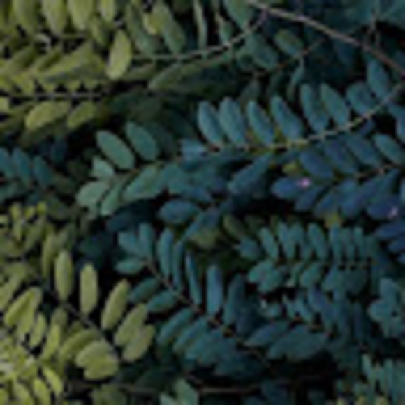 Meet your Posher, Rachel - Picture 1 of 1